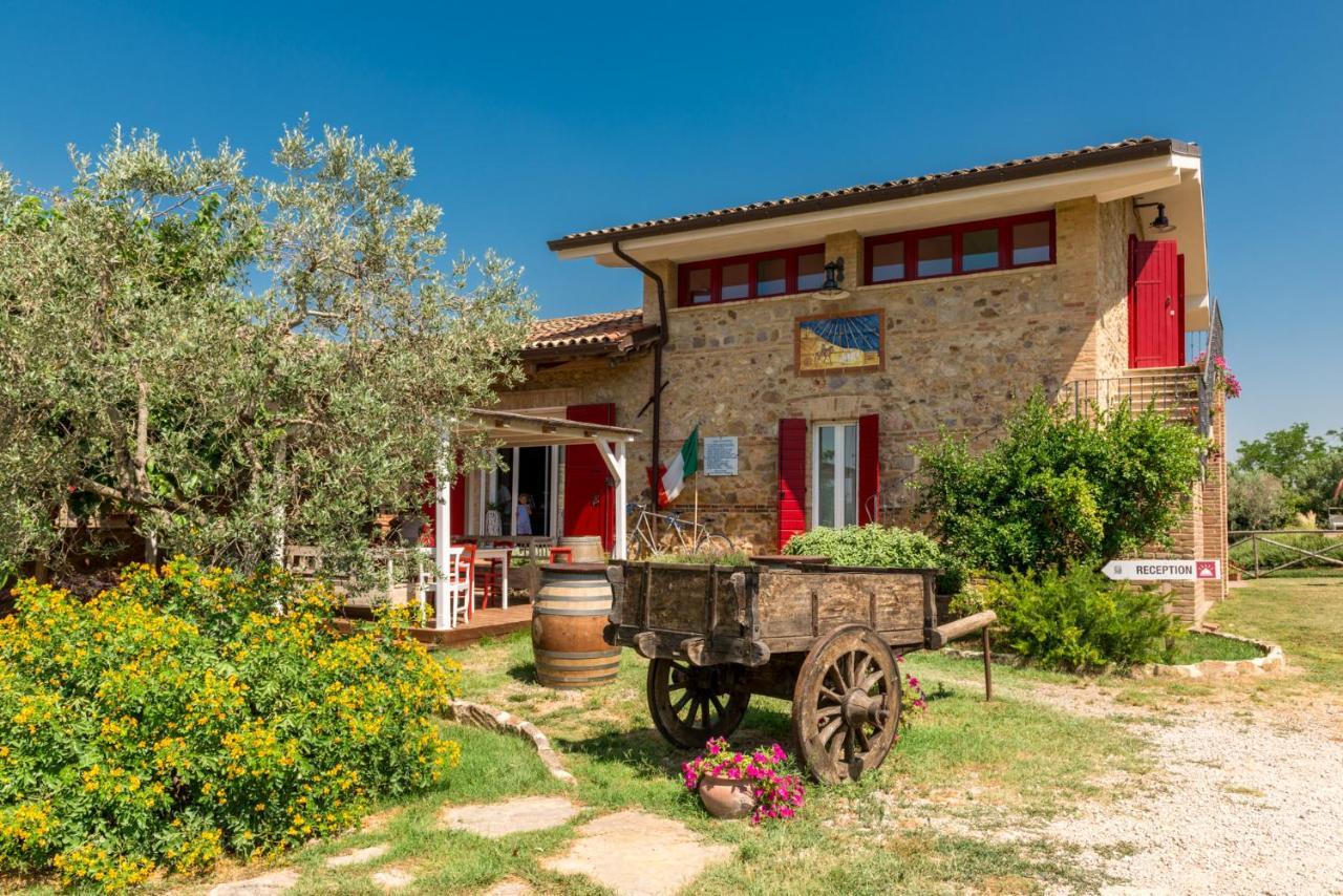 Il Barbagianni Bed & Breakfast Montepescali Exterior photo