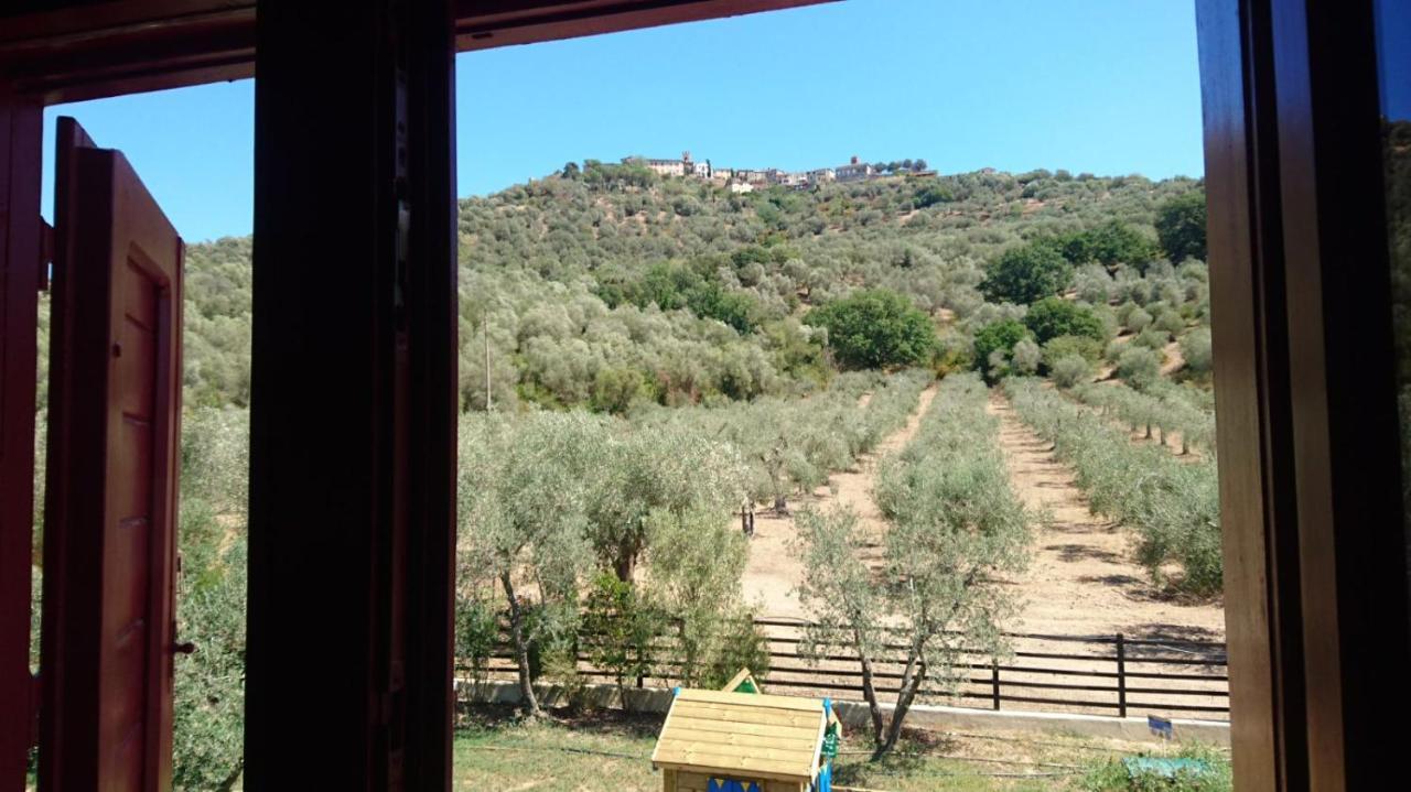 Il Barbagianni Bed & Breakfast Montepescali Exterior photo