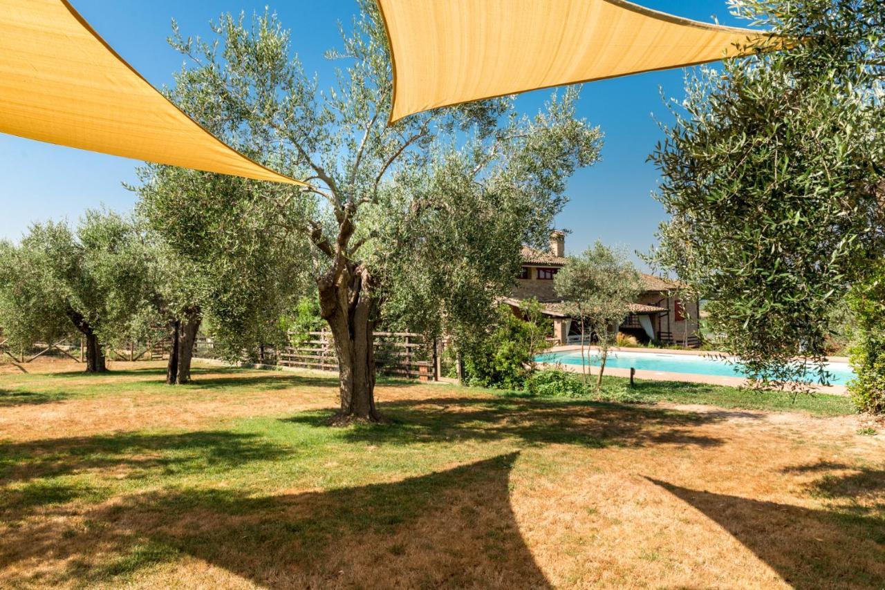 Il Barbagianni Bed & Breakfast Montepescali Exterior photo