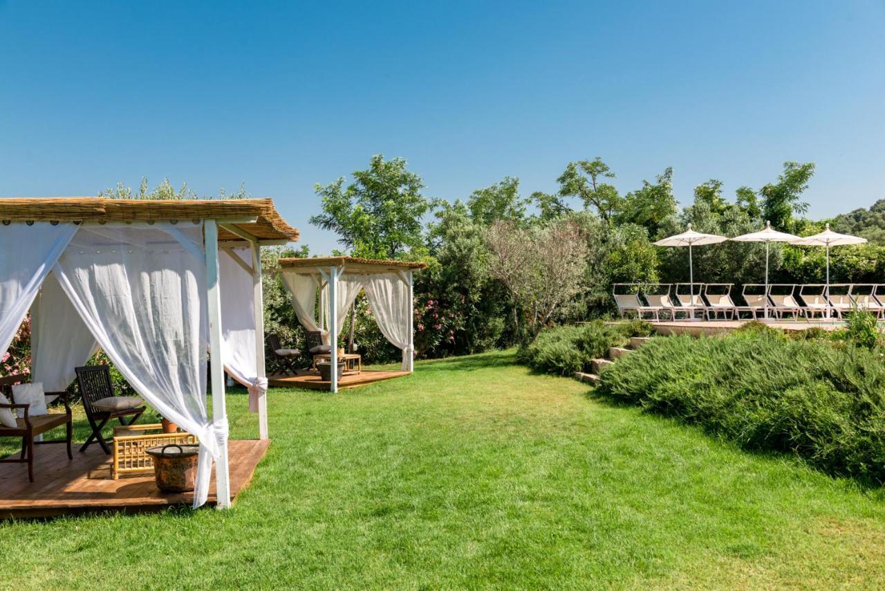Il Barbagianni Bed & Breakfast Montepescali Exterior photo
